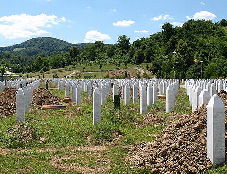 Vukovar. Storia e storie lungo il Danubio