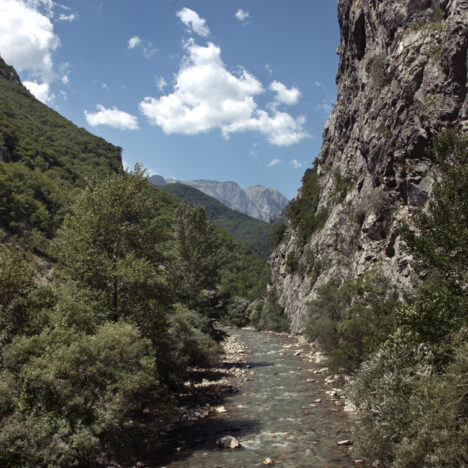 Montenegro bio: lo sviluppo mancato