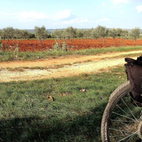 Vukovar e il labirinto balcanico
